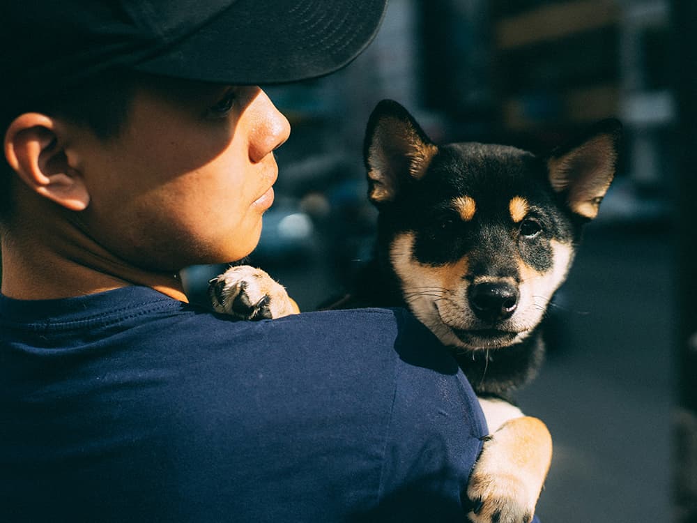 Man and dog